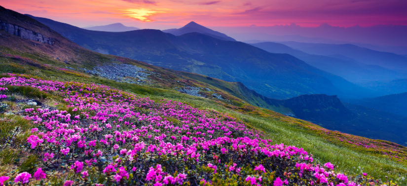 Shimla Kullu Manali Tour Package from Pune