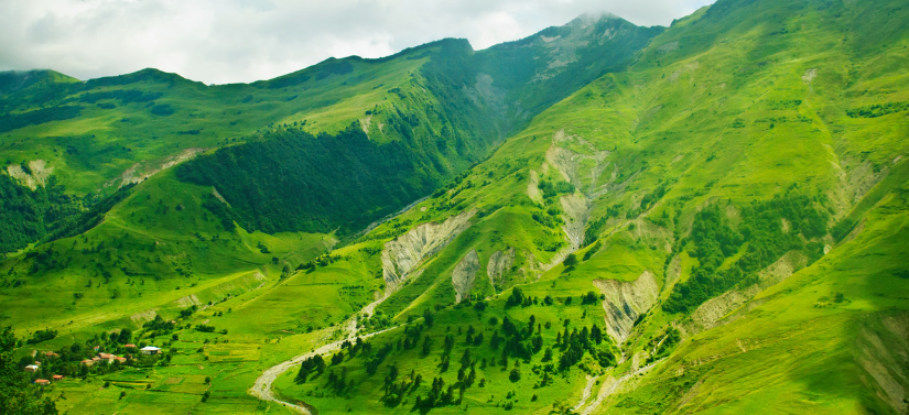 Manali Tour Packages from Vadodara