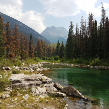 Chandigarh to Kullu Manali Tour Package