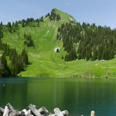Kullu Manali Tour Package For Couple