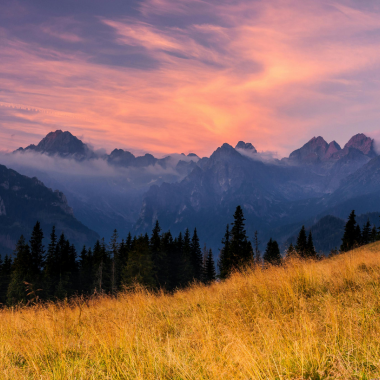 Manali Tour Package from Baroda