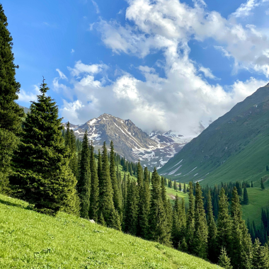 Package for Kullu Manali from Mumbai