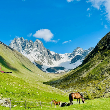 Shimla Kullu Manali Tour Plan from Kolkata